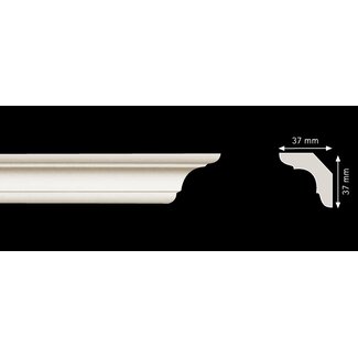 Homestar C50 (37 x 37 mm), lengte 2 m