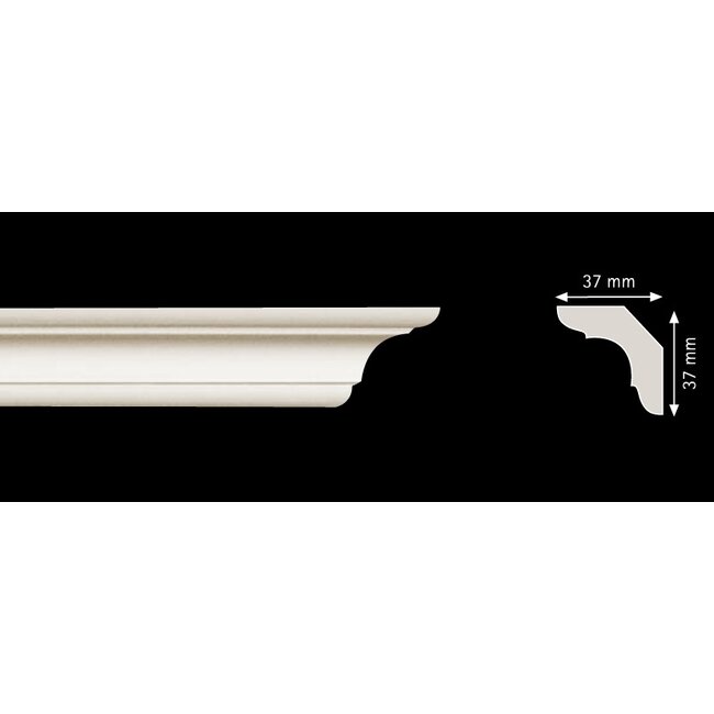Homestar C50 (37 x 37 mm), lengte 2 m