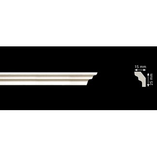 Homestar S25 (25 x 15 mm), lengte 2 m