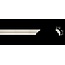 Homestar S25 (25 x 15 mm), lengte 2 m