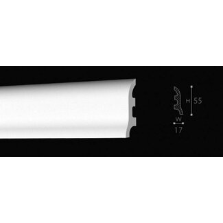 NMC Floorstyl FL3 (55 x 17 mm), lengte 2 m