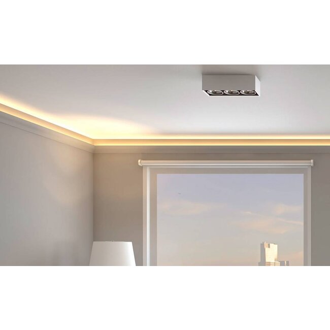 NMC  Wallstyl IL3 (50 x 32,5 mm), HDPS,  lengte 2 m