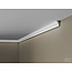 Homestar S25 (25 x 15 mm), lengte 2 m