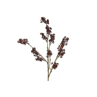 Countryfield Callicarpa rood-L2B10H69CM