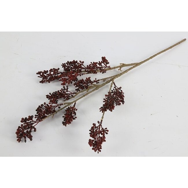 Countryfield Callicarpa rood-L2B10H69CM
