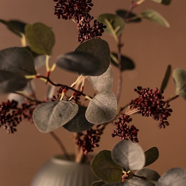 Countryfield Callicarpa rood-L2B10H69CM
