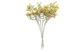 Countryfield Gypsophila bundel geel-L7B7H33CM