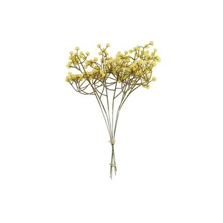 Countryfield Gypsophila bundel geel-L7B7H33CM