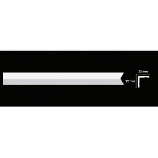 Homestar Kunststof hoekprofiel CP20 (22 x 22 mm), lengte 2 m