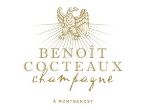 Benoît Cocteaux