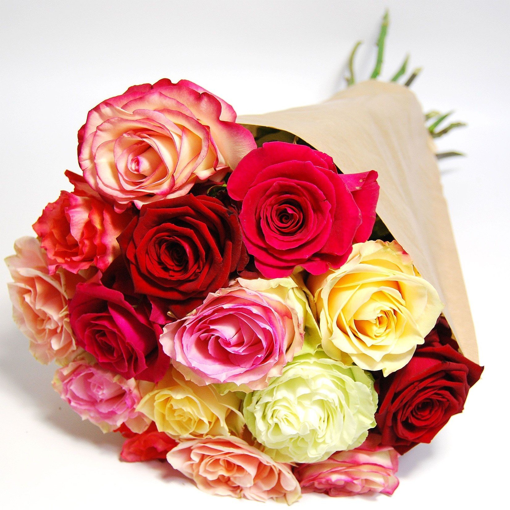 flotte Blumen Rosenstrauß gemischt mit 12 herrlichen Rosen in verschiedenen Farben