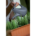 Huchem EOS Gießkanne 1,5 Liter grün | Kunststoff | ergonomisch und modern
