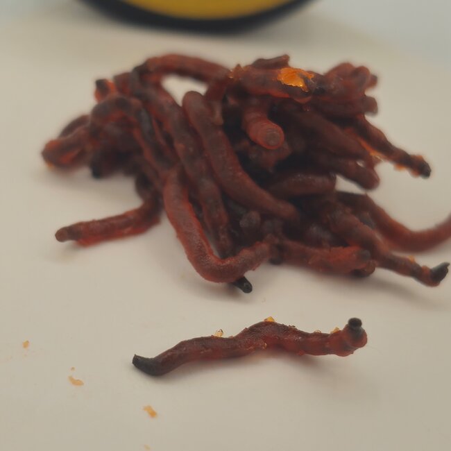 CC Solution Boilies Real Ones Blood Worms – Imitación de gusanos de sangre en gel aromatizado