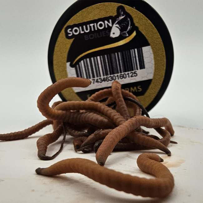 CC Solution Boilies Real Ones Jelly Worms – Ultra-realistic imitation bait for carp fishing