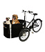 Nihola Nihola Dog