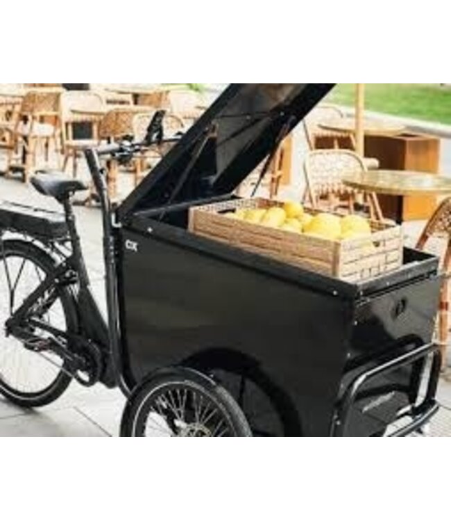 Winther Winther Business CX Bafang M410 3 speed autom.