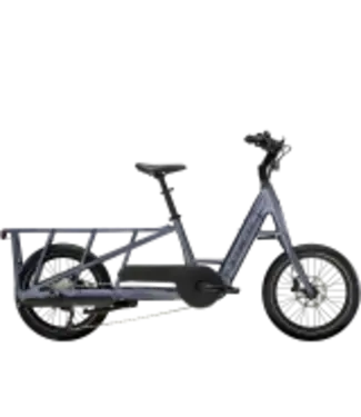 Trek Trek Fetch+ 2