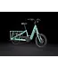Trek Trek Fetch+ 2 duo fiets