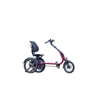 Van Raam Easy Rider Compact Driewielfiets