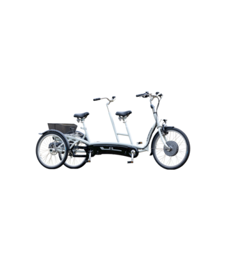 Van Raam Twinny Plus tandem