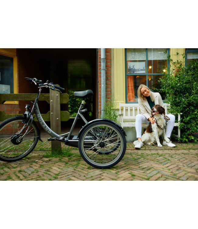 Nijland Cycling Diamond