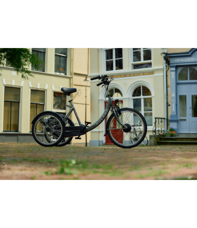 Nijland Cycling Diamond