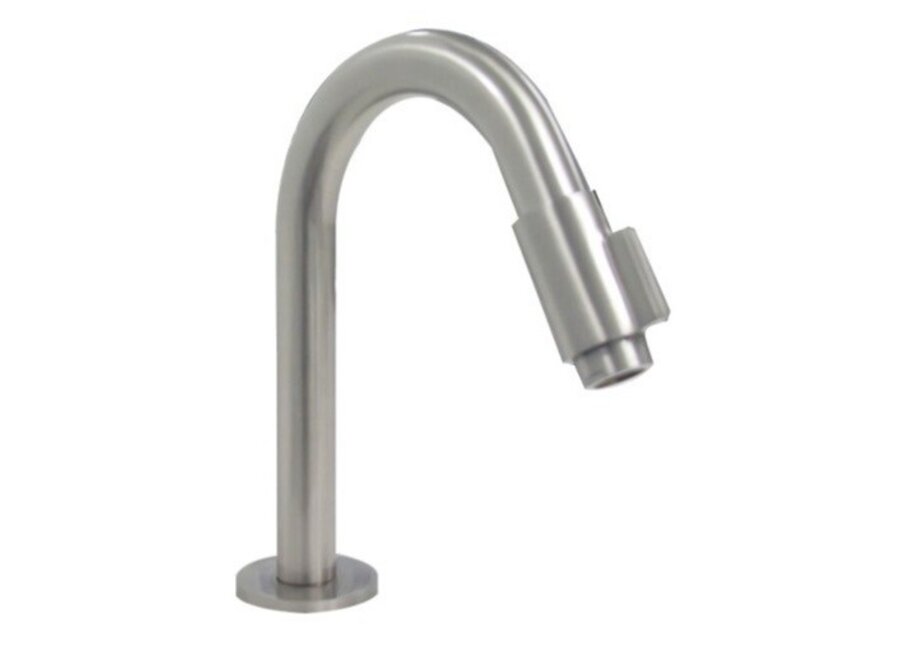 Dimpel RVS-304 Ore toiletkraan