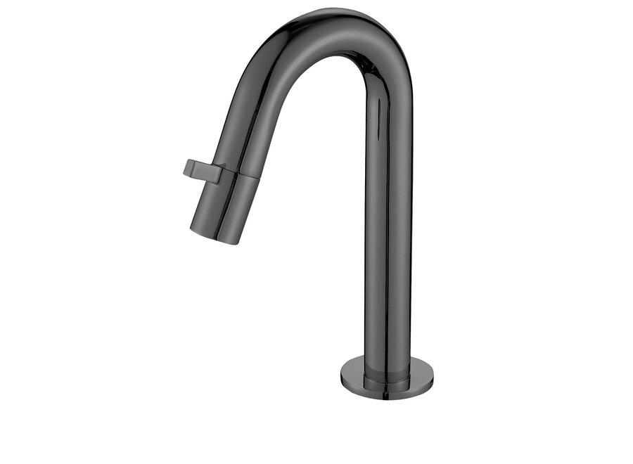 Moya toiletkraan Dimora gunmetal