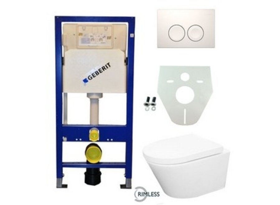 Geberit UP 100 Vesta Rimless wc+zitt.+ Delta 21 wit