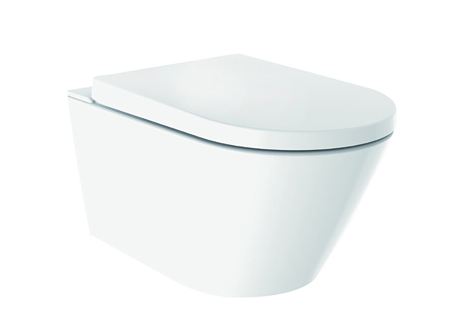 Vesta-ECO rimless wand douche-wc  wit