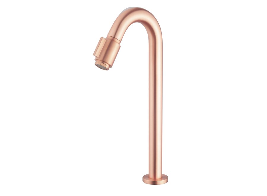 Victoria toiletkraan XL 1/2&#x27;&#x27; geborsteld koper