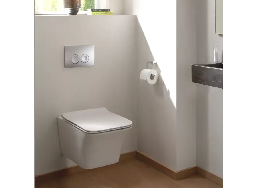 Geberit Bedieningspaneel Delta25 mat chroom – 115.125.46.5