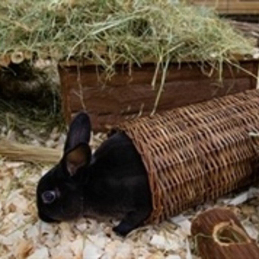 Happy Pet Happy Pet Wilgen Tunnel L 32 cm