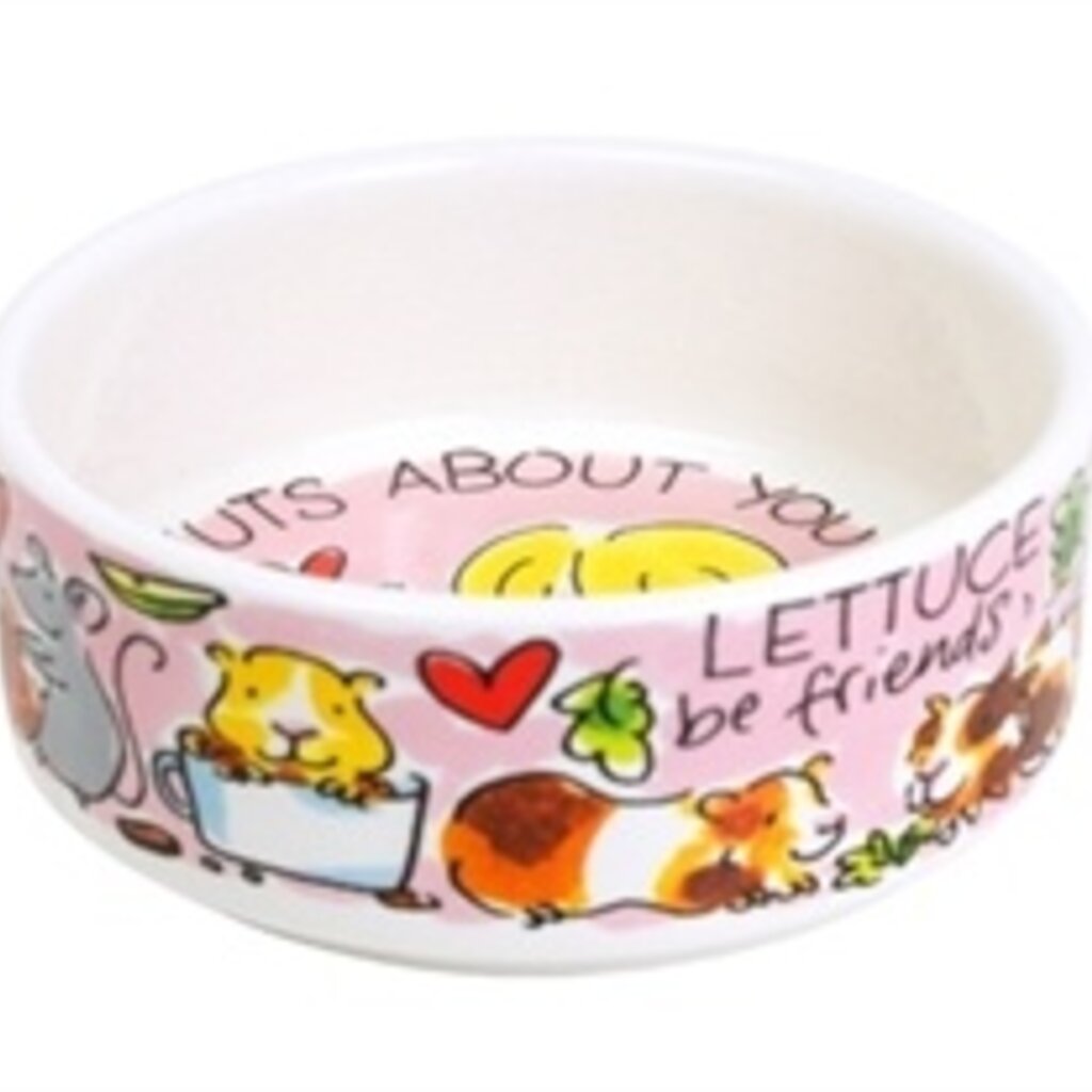 Blond Amsterdam Blond Amsterdam Voerbak Knaagdier Nuts About You 10X10X4 cm