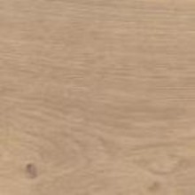 Color oil Extra White nr 118 (click here for your content)