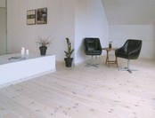 Pre Color (Impregnation Stain) WHITE 2.5 Ltr