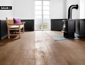 Color oil Walnut no 119