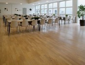 Master Invisible 2K Lacquer 5 liters (incl harder)