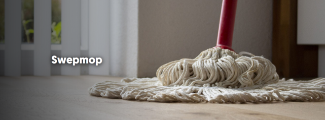 Originele Vileda Swepmop (Steel + mop)