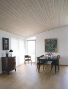 Panel White (Panel paint, choose your color here)