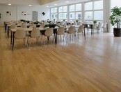 Excellent Lacquer (choose your gloss level 10 or 40 here)