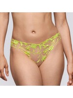 Sarda Sarda Shay Rioslip