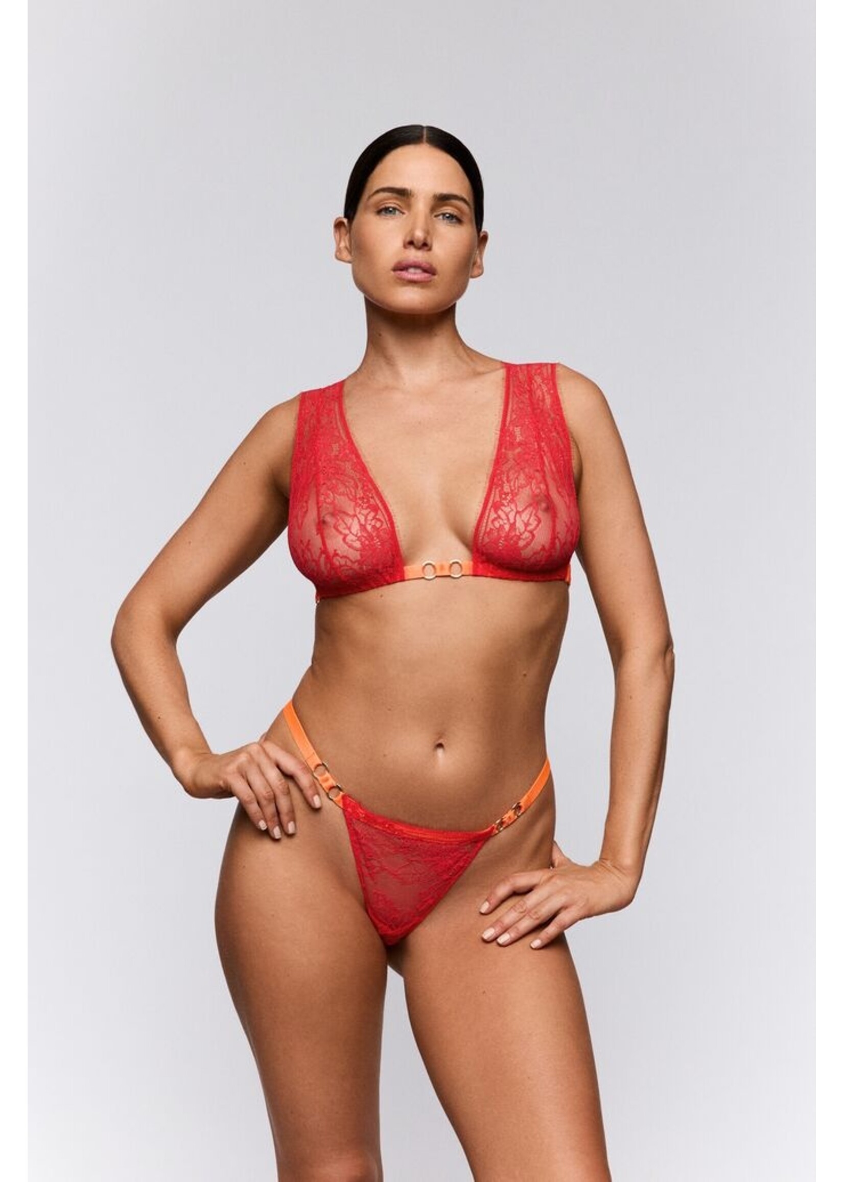 Sarda Sarda LOVELACE String