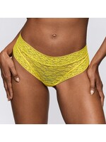 Sarda Sarda CID Hotpants