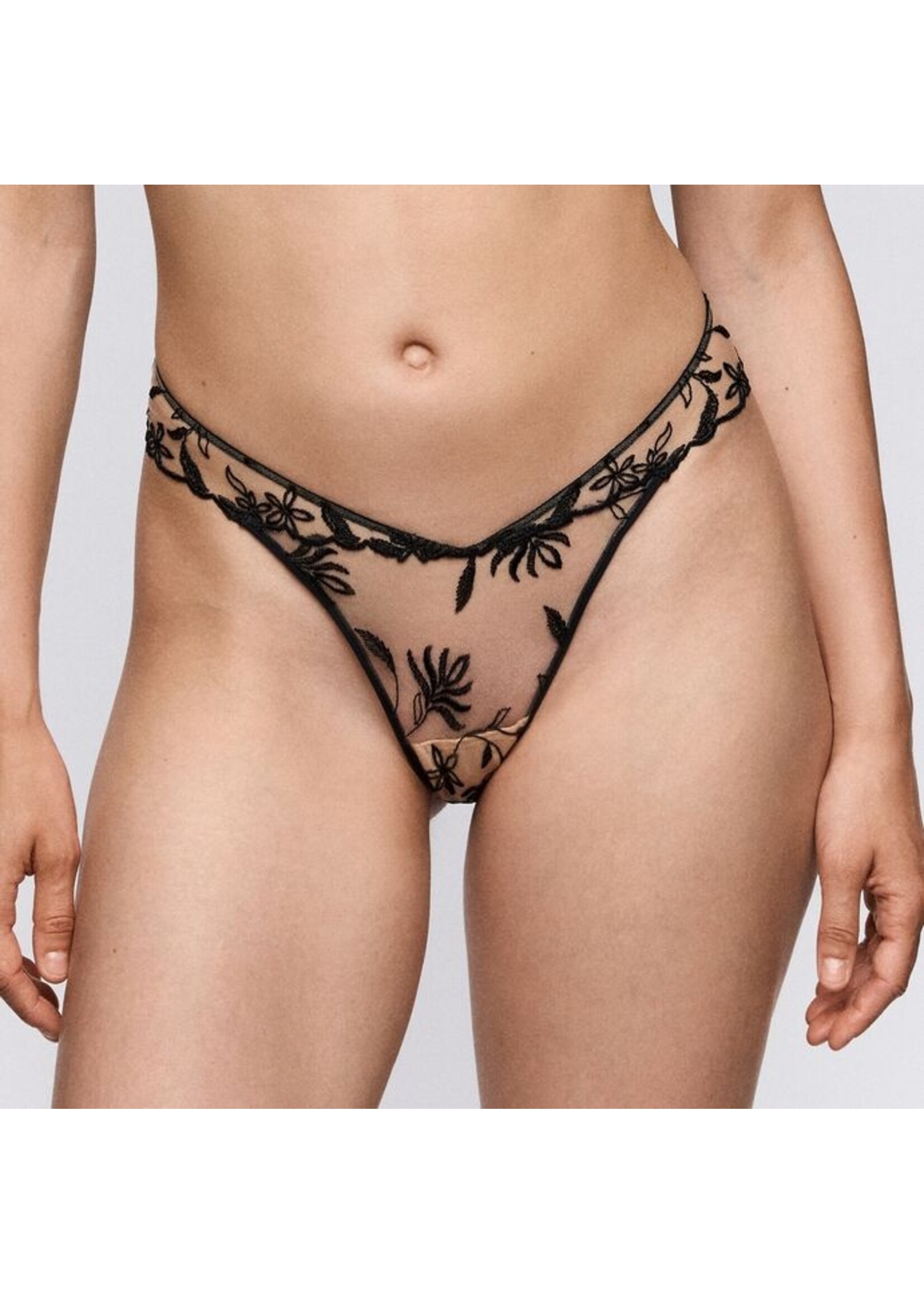 Sarda Sarda SHAY String