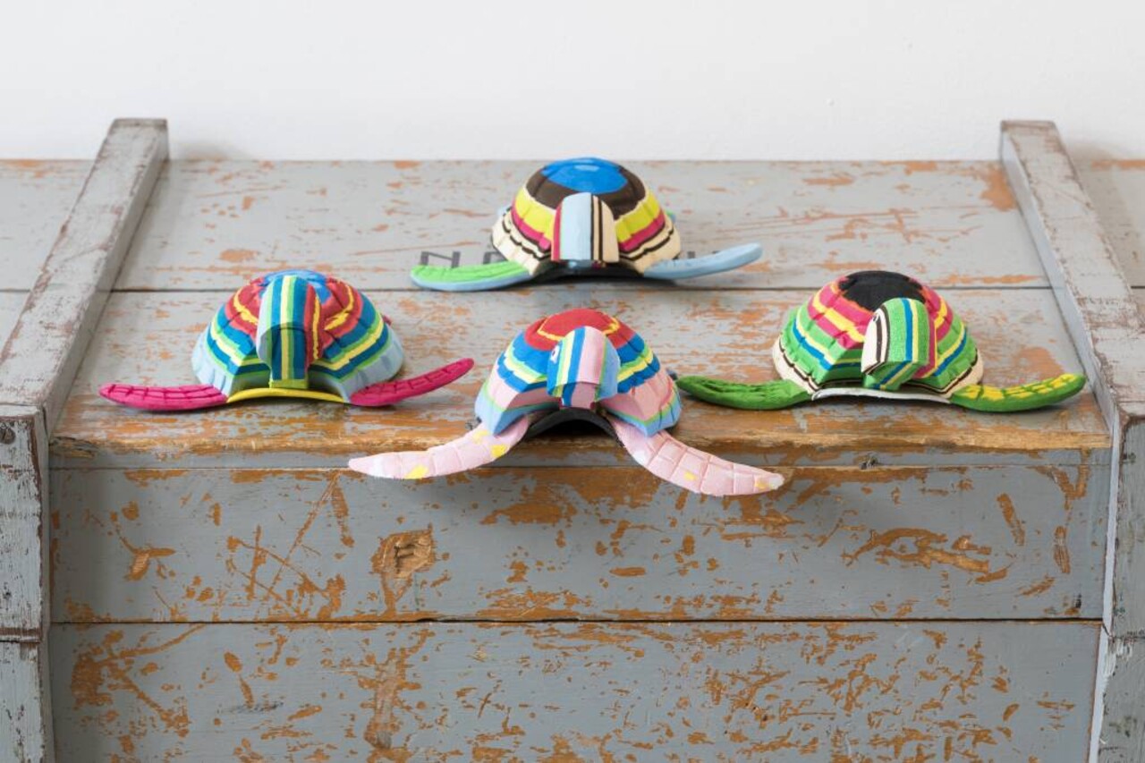 Schildkrötenmedium Schildkrötenmedium