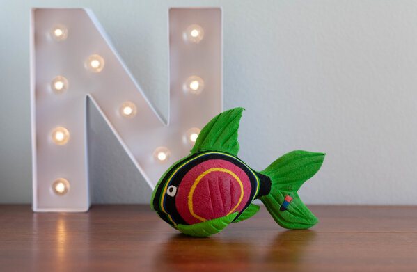 Coral fish small Coral fish small