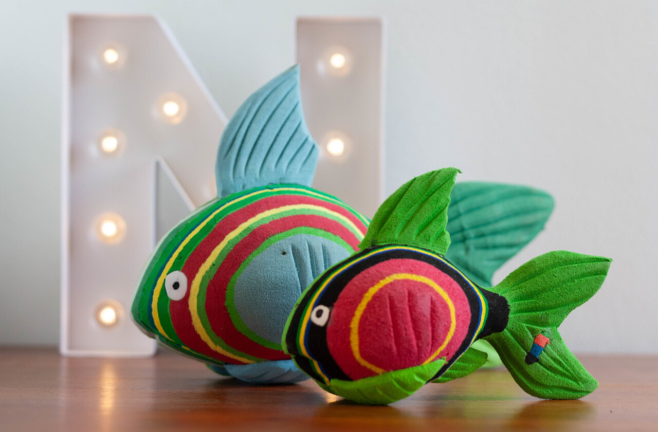 Poisson corail petit + moyen