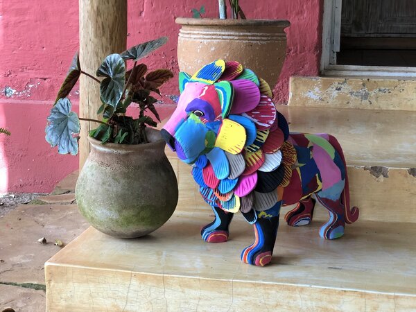 Lion Extra Large Lion Extra Large