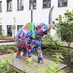 Life Size Bayby Olifant 1.2 meter